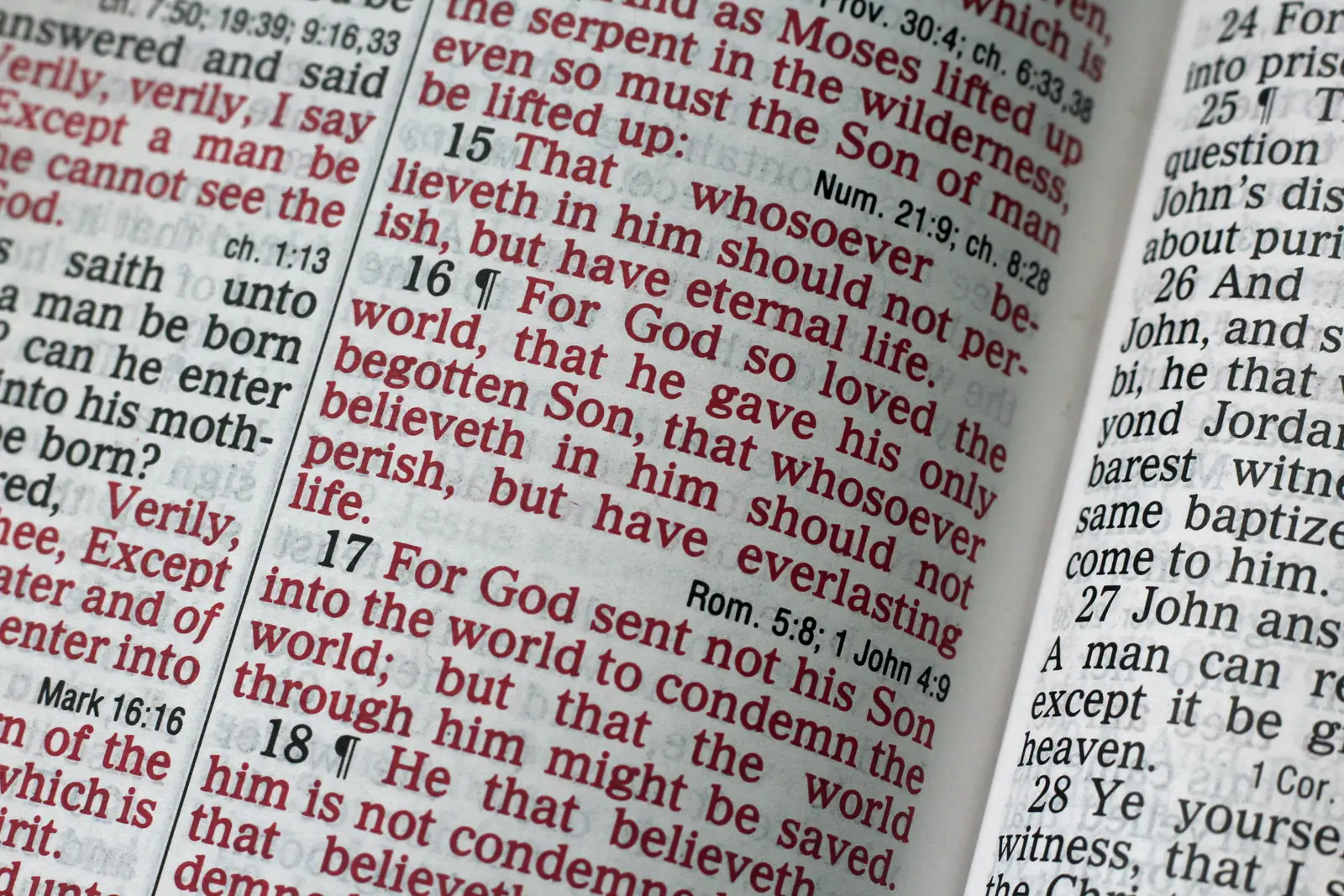 The Bible